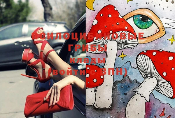 ALPHA PVP Вяземский