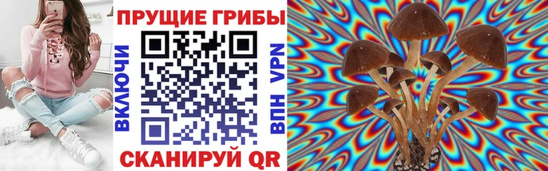 Псилоцибиновые грибы мицелий  Керчь 